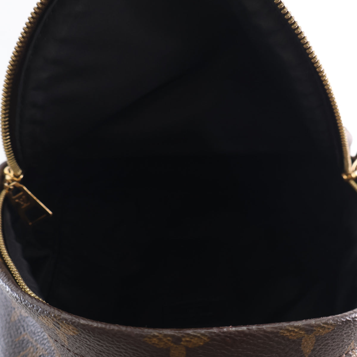 Pre-Owned Louis Vuitton PM Monogram Palm Springs, open interior with lining