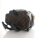 Louis Vuitton Monogram Palm...