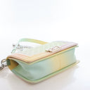 Chanel Medium Caviar Rainbo...