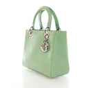 Dior Medium Python Lady Dior