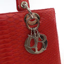 Dior Medium Python Lady Dior