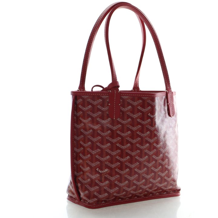 Goyard Goyardine Anjou Mini