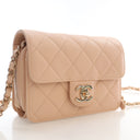 Chanel Mini Caviar Like a W...