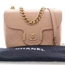 Chanel Medium Calfskin Sing...