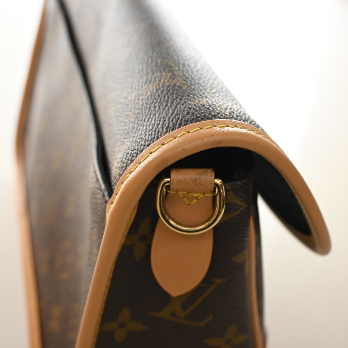 Louis Vuitton Monogram Diane, photo 14 of 15