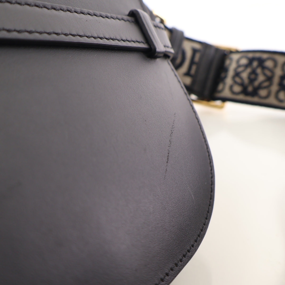 Loewe Mini Calfskin Dual Gate Crossbody, photo 16 of 20