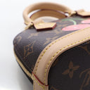 Louis Vuitton x Takashi Mur...