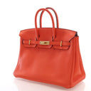 Hermes Feu Togo Birkin 25