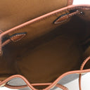 Celine Mini Triomphe Canvas...