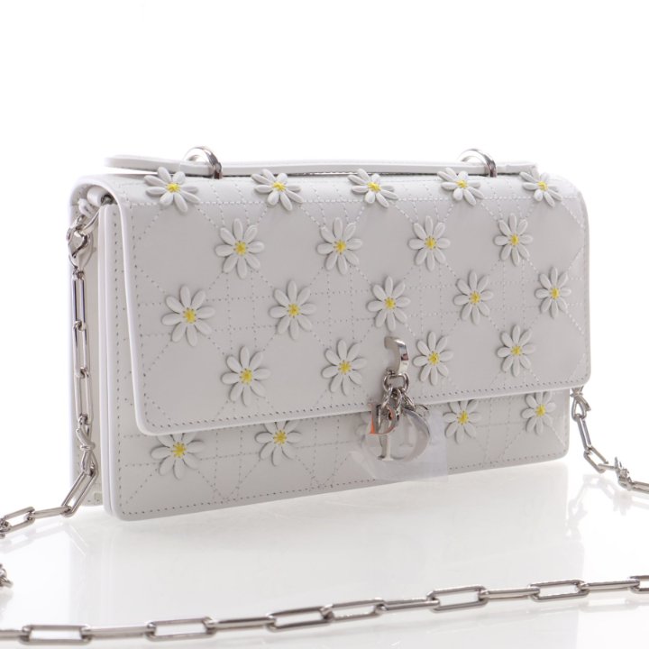 Christian Dior Wallet on Chain