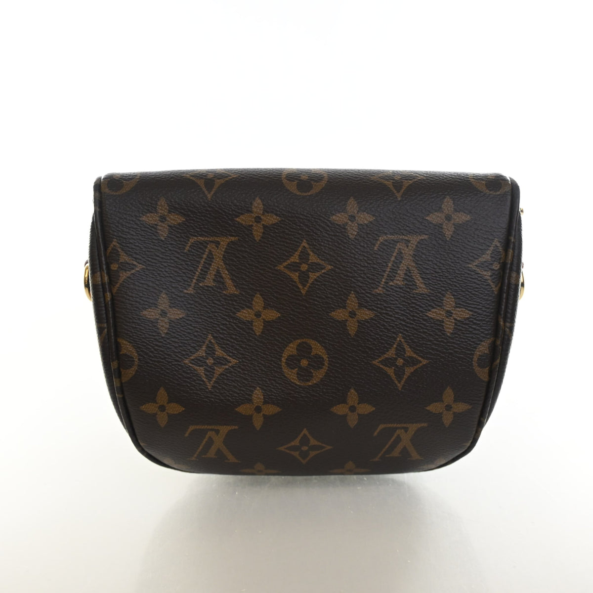 Louis Vuitton Monogram Mini Bumbag, photo 10 of 12