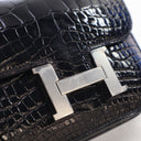 Hermes Niloticus Crocodile ...