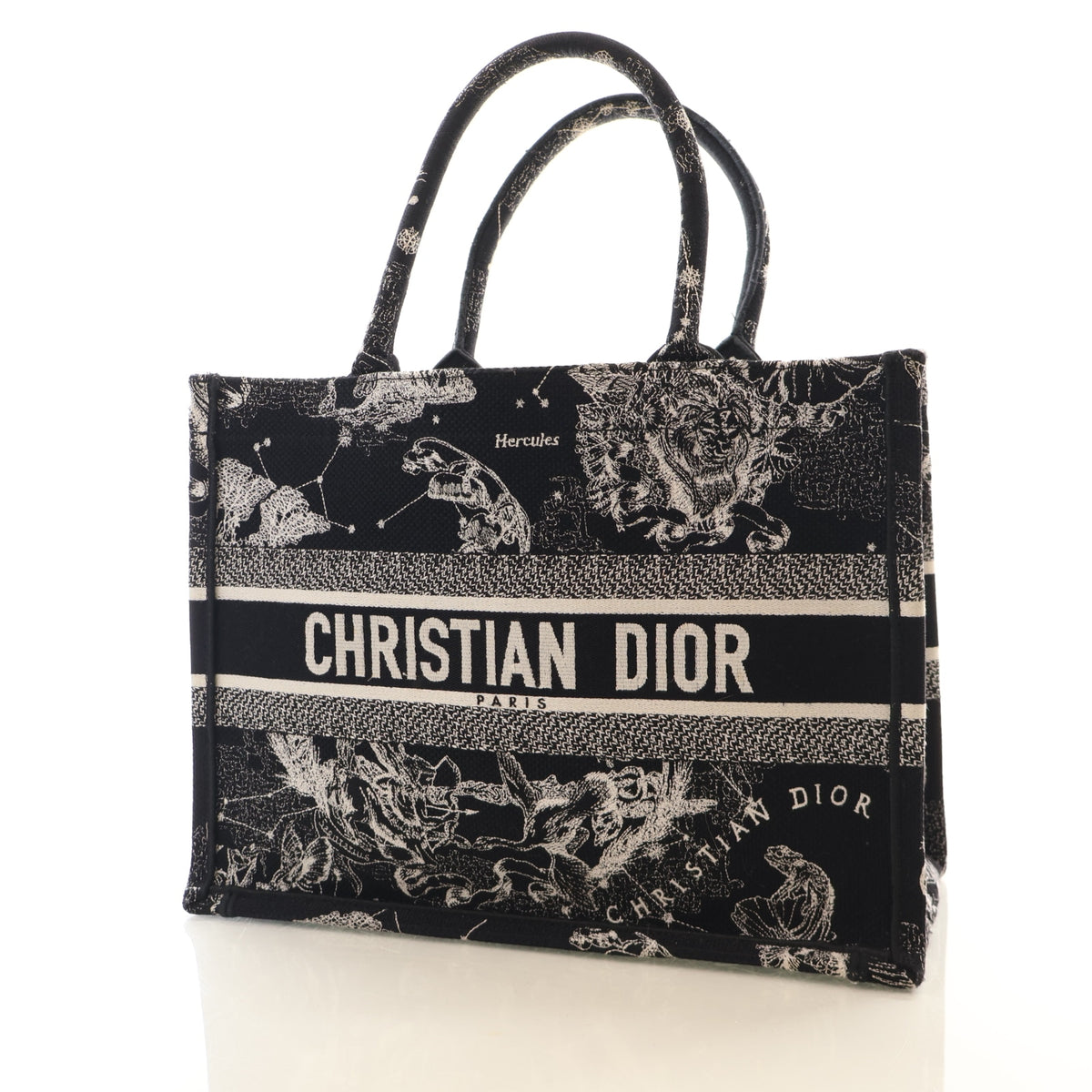 Christian Dior Medium Zodiac Toile De Jouy Book Tote, photo 3 of 17