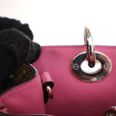 Dior Small Calfskin and Pyt...