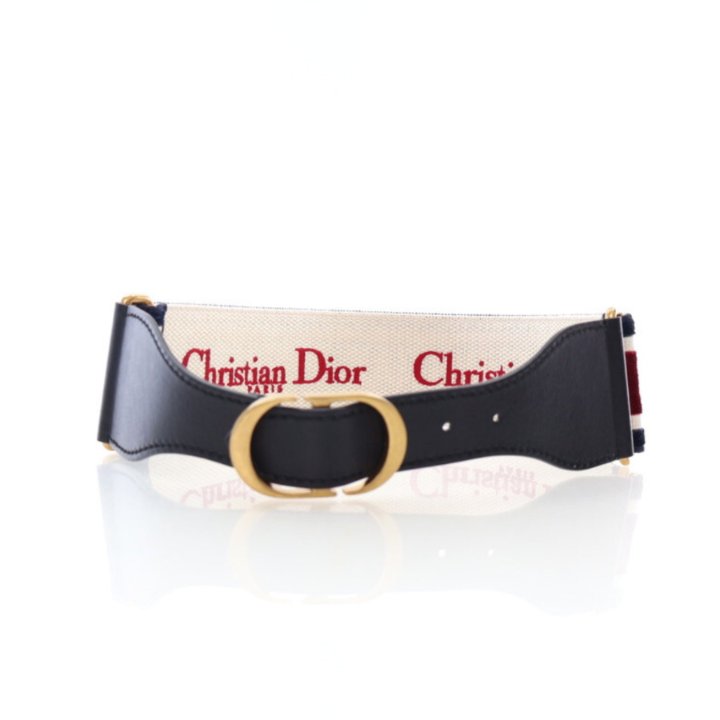 Dior Velvet Wide Belt