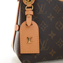 Louis Vuitton Monogram Carr...