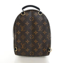 Louis Vuitton Monogram Palm...