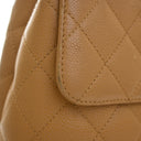 Chanel Vintage Medium Cavia...