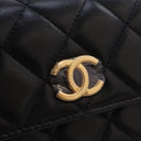 Chanel Mini Lambskin Top Ha...