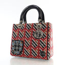 Dior Medium Sequin Embroide...