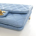 Chanel Caviar Pick Me Up Fl...