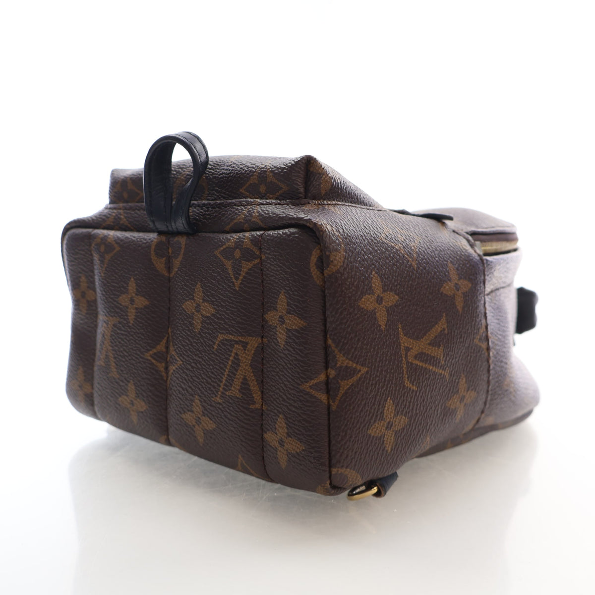 Louis Vuitton Monogram Palm Springs Mini, photo 7 of 16