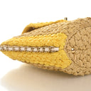 Chanel Raffia Venice Beach ...