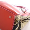 Dior Small Calfskin and Pyt...