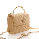 Hover Product -Chanel Lambs...