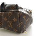 Louis Vuitton Monogram Palm...