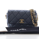 Chanel Small Lambskin Charm...