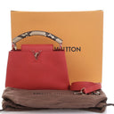Louis Vuitton Python-Trimme...