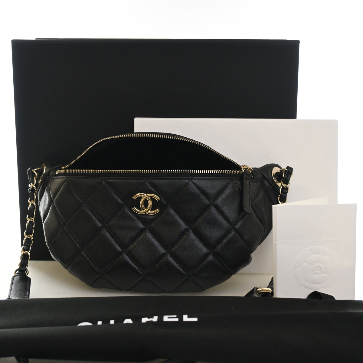 Chanel Lambskin CC Waist Bag, photo 15 of 15