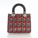 Dior Medium Sequin Embroide...