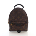 Louis Vuitton Monogram Palm...