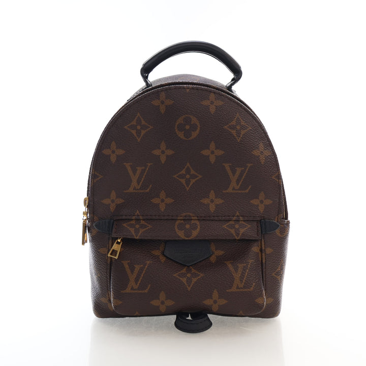 Louis Vuitton Monogram Palm Springs Mini