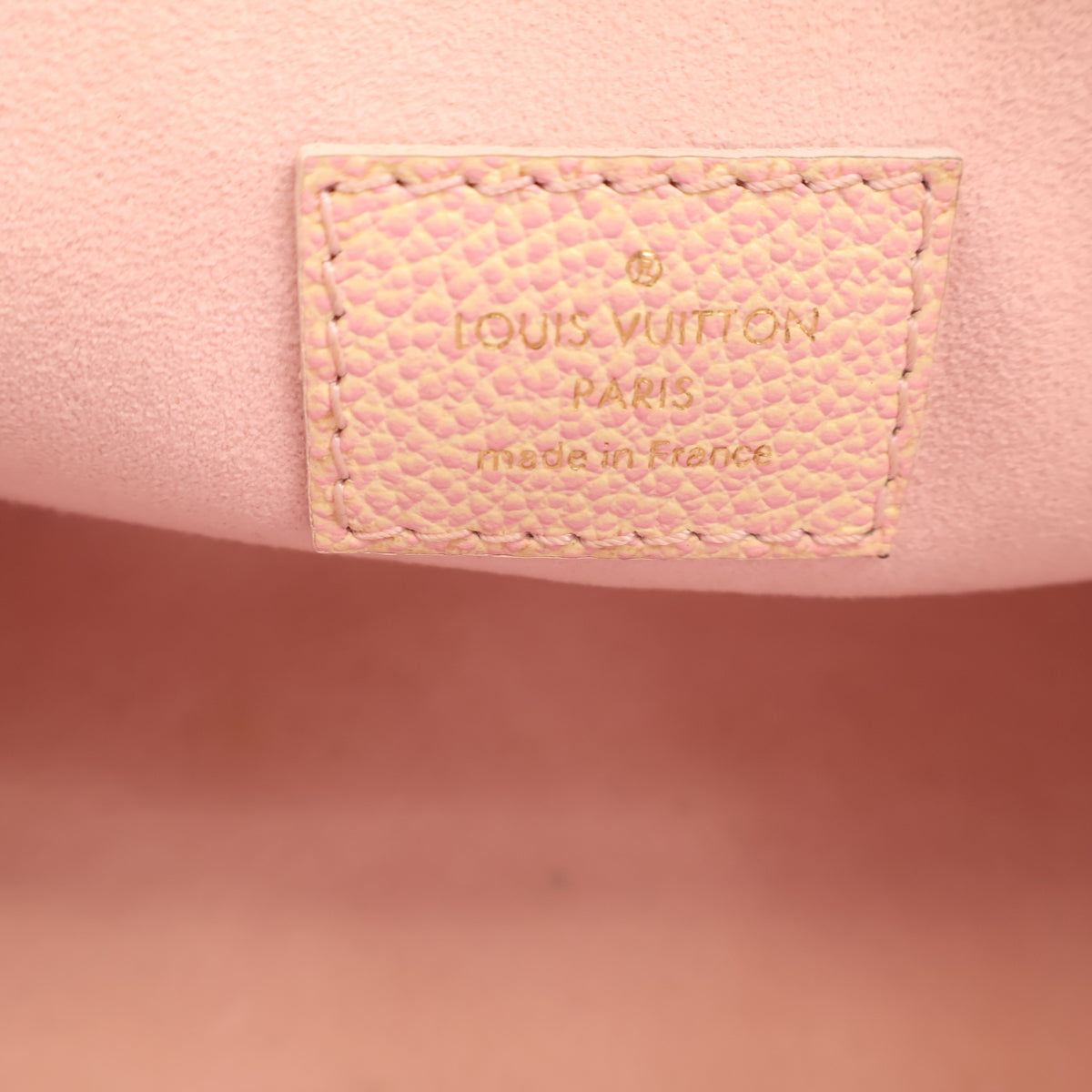 Pre-Owned Louis Vuitton Onthego PM Stardust Monogram, logo detail
