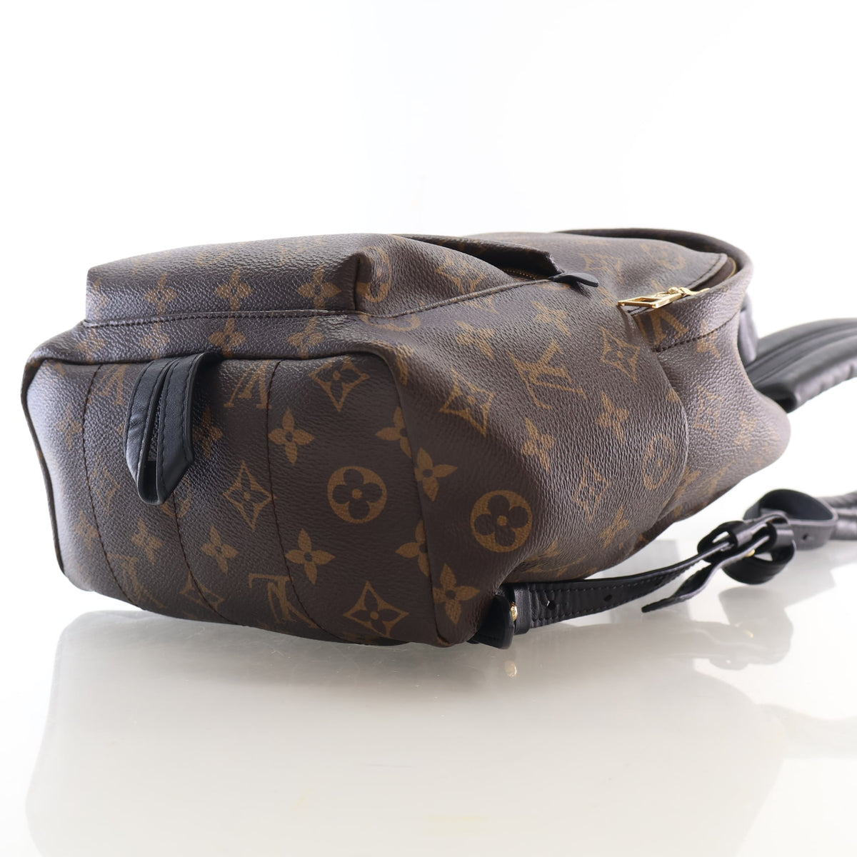 Pre-Owned Louis Vuitton PM Monogram Palm Springs, side profile
