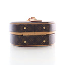 Louis Vuitton Monogram Peti...