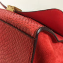 Celine Medium Python Trapeze