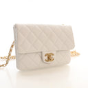 Chanel Caviar Pick Me Up Fl...
