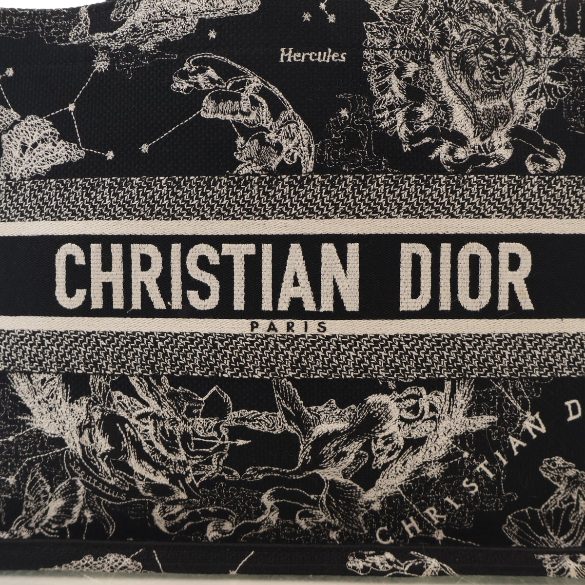 Christian Dior Medium Zodiac Toile De Jouy Book Tote, photo 4 of 17