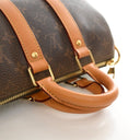 Louis Vuitton Monogram Dust...