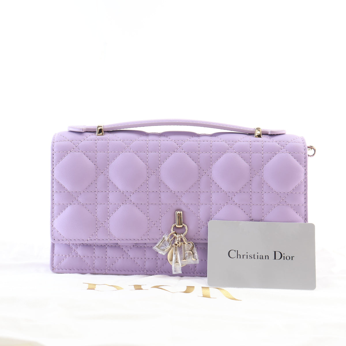 Pre-Owned Christian Dior Mini Lambskin My Dior, front view, photo 16 of 16