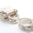 Christian Dior Mini Embroid...