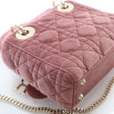 Christian Dior Mini Velvet ...