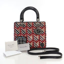 Dior Medium Sequin Embroide...