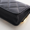 Chanel Mini Lambskin Chain ...
