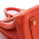 Hermes Feu Togo Birkin 25