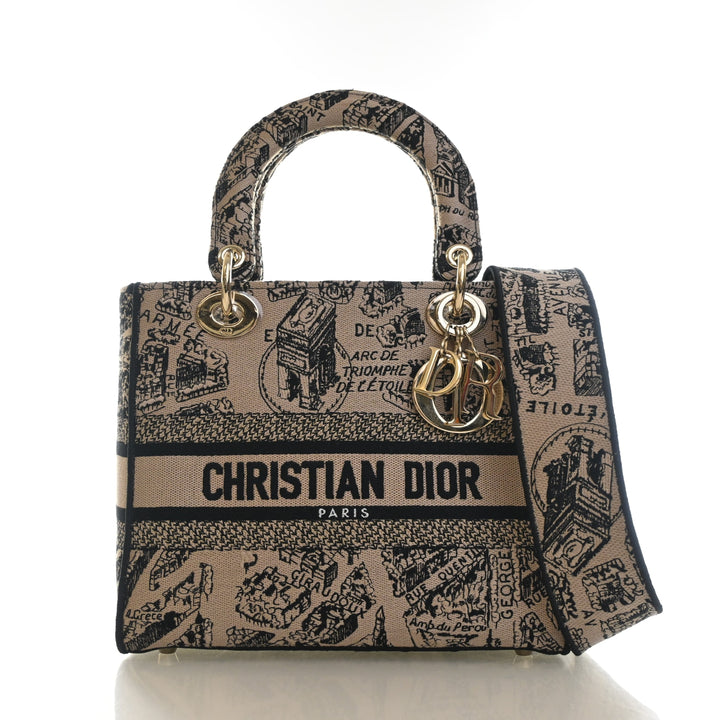 Christian Dior Medium Toile De Jouy Plan De Paris Lady D-Lite
